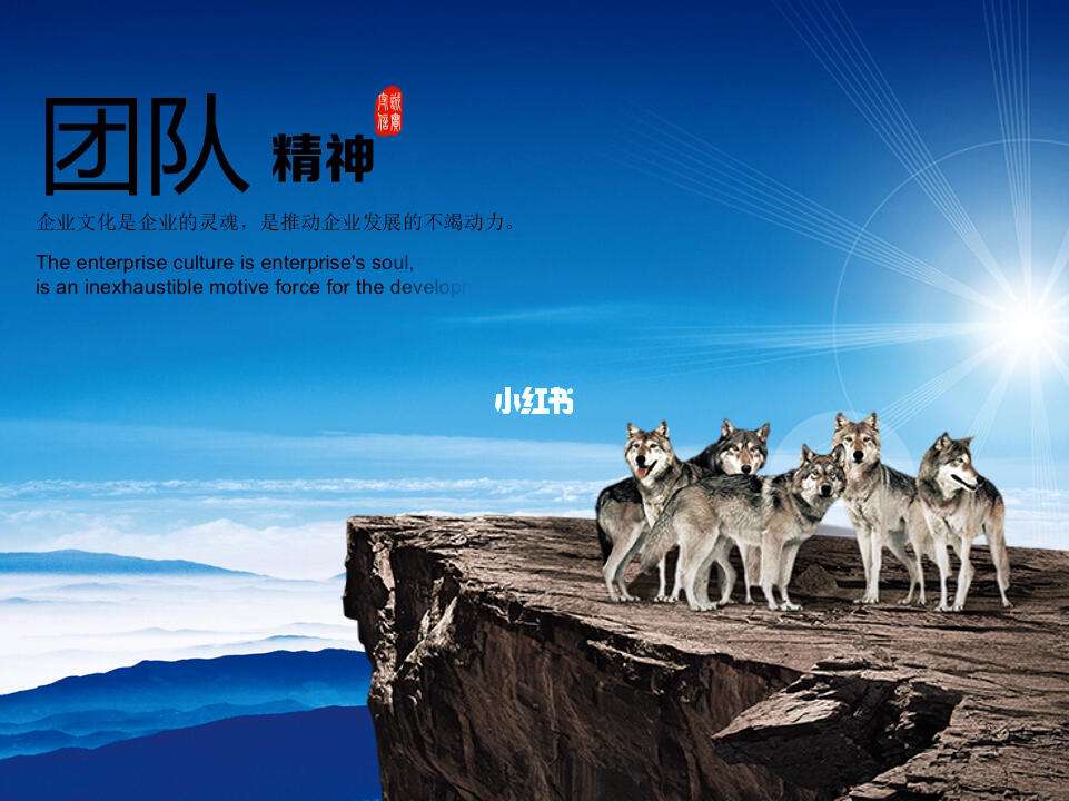 开云平台-北京首钢主教练谈团队合作精神的重要性