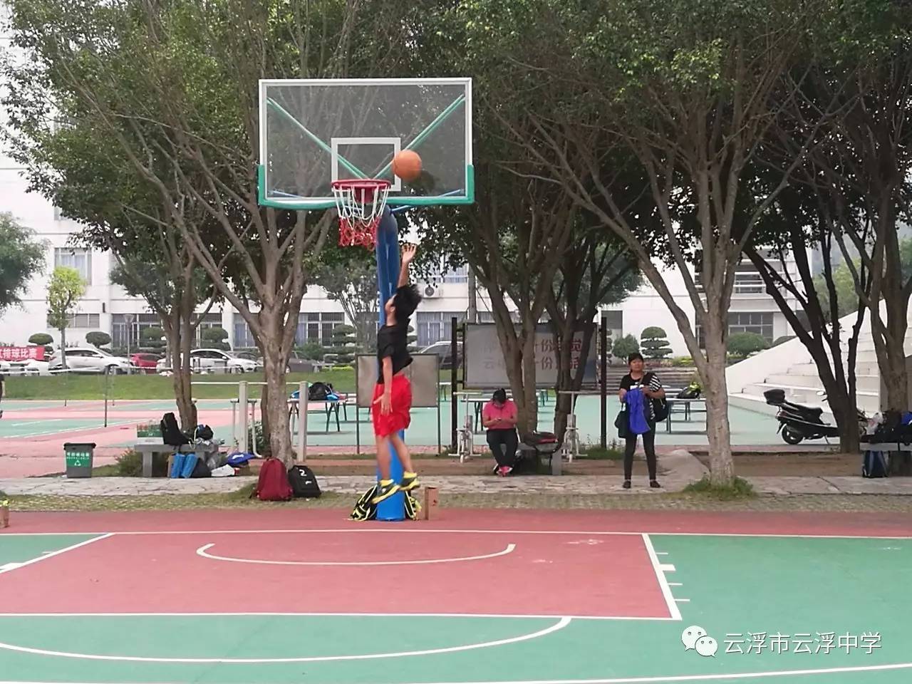 开云体育官网-包含大洋洲参赛者获得佳绩：突出个人特长的词条