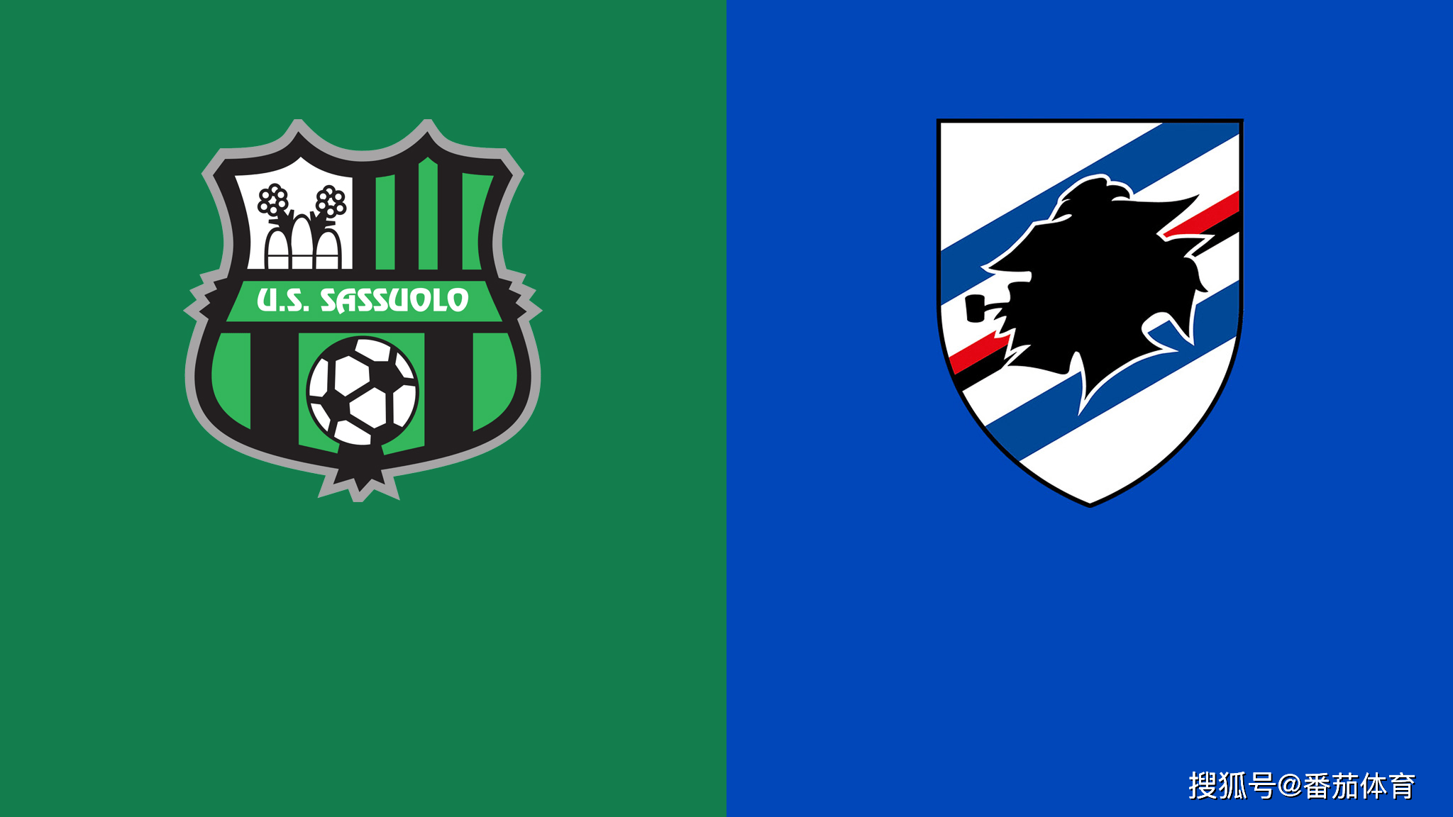 包含萨索洛表现依旧稳健，年轻队伍蓄势待发的词条