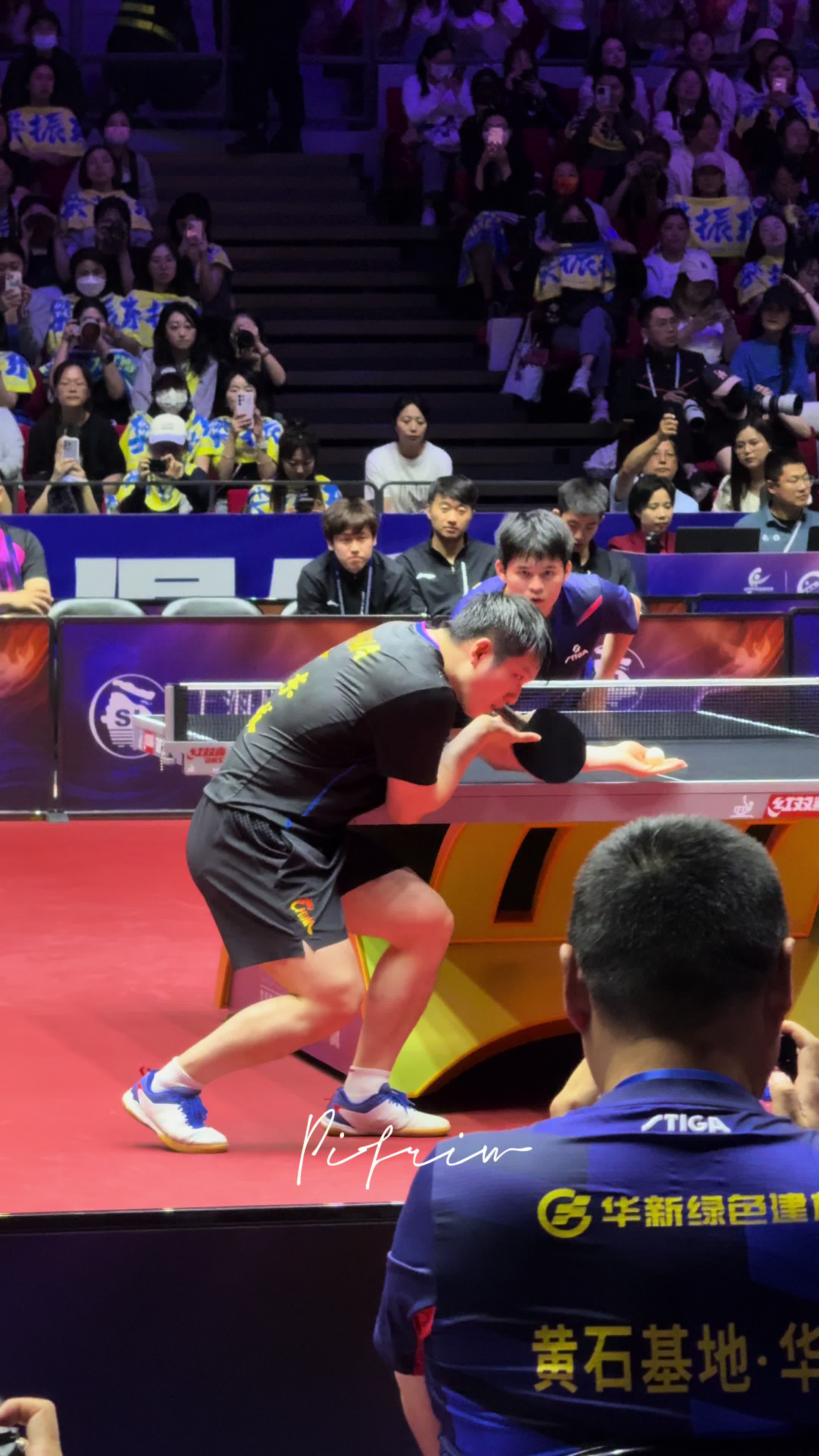 中国乒乓球队完胜日本乒乓球队，樊振东制霸全场的简单介绍